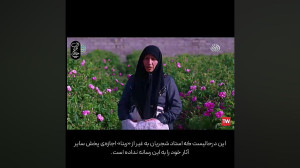 پخش صدای استاد شجریان از شبکه...