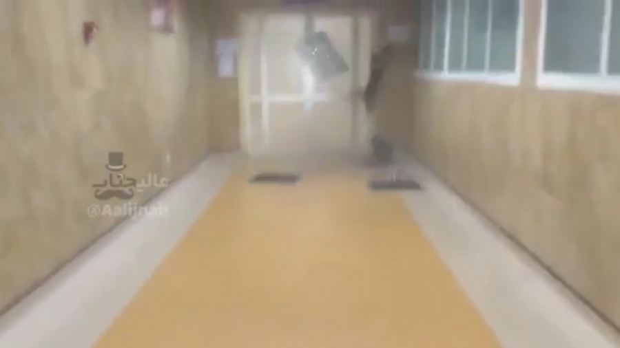 طنز درگیری دو گربه