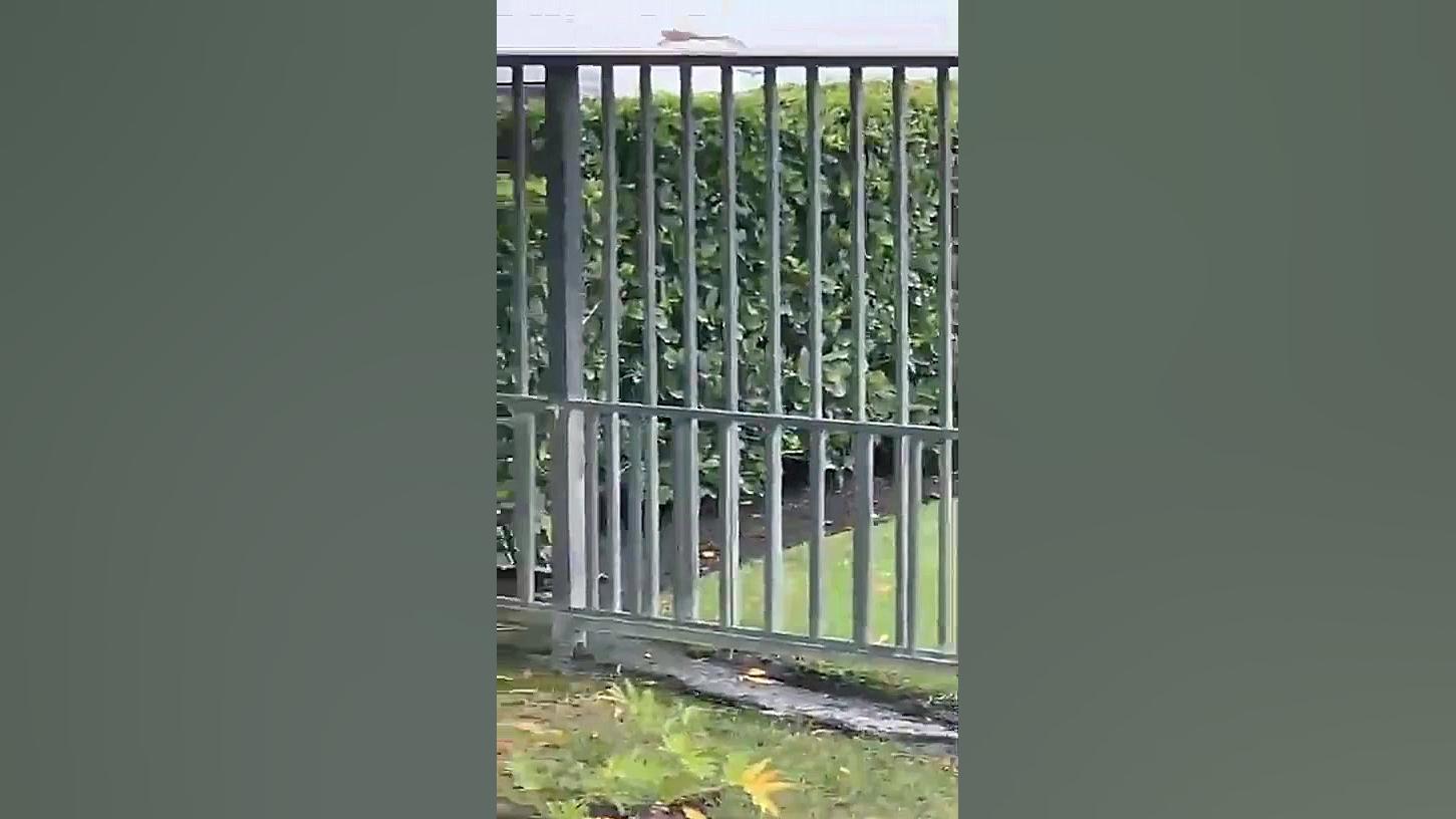 فرار از زندان