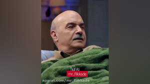 مهمونی پشه حامله شده