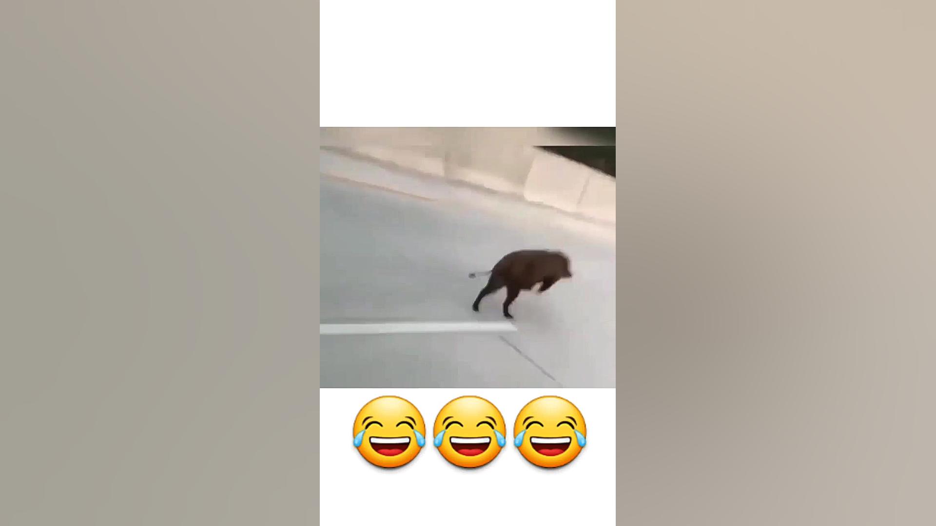 گراز در اتوبان فیلم خنده دار