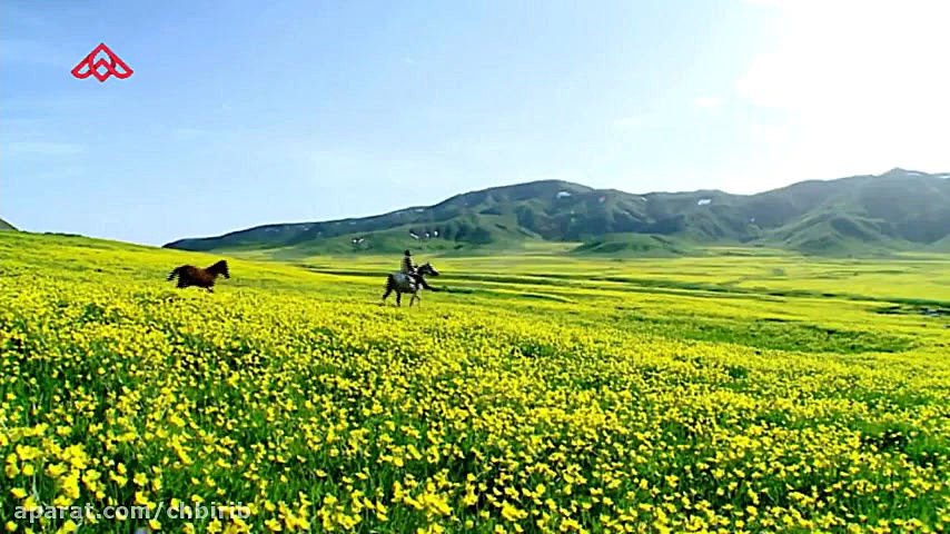 موزیک ویدئو جدید علی زند وکیلی