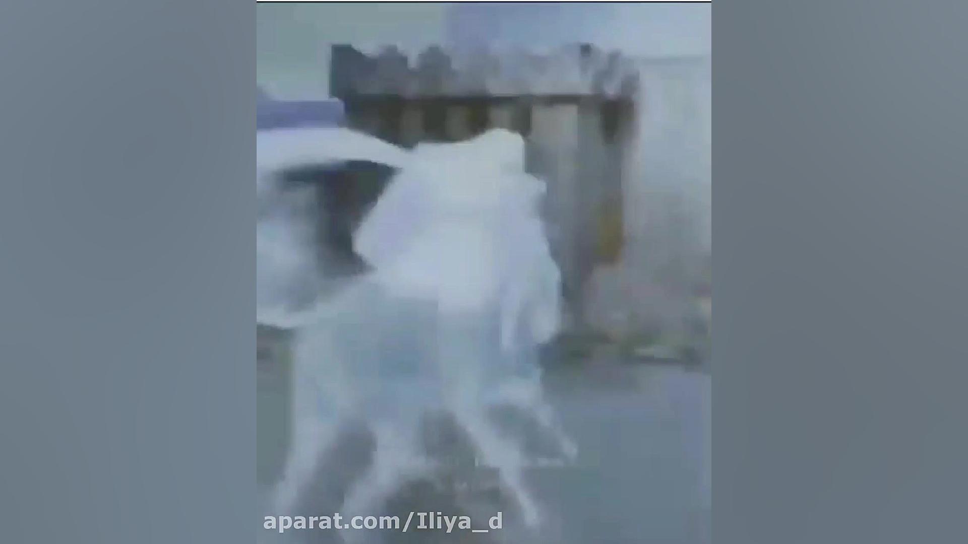 اگه السا را دوست داری دنبال کن