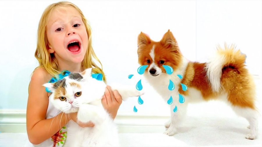 برنامه کودک استیسی و بابا  سرگ...