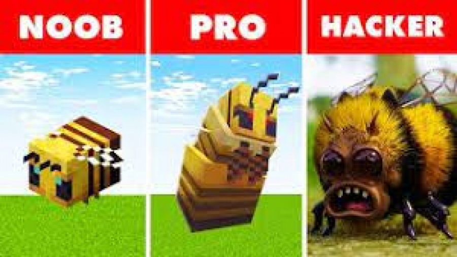 نوب در مقابل پرو در مقابل هکر...