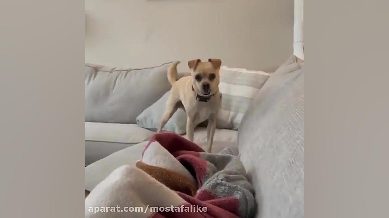 مجموعه ویدیوهای زیبا و خنده دا...