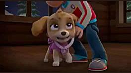 فیلم سگ های نگهبان