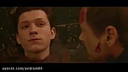 مردعنکبوتی