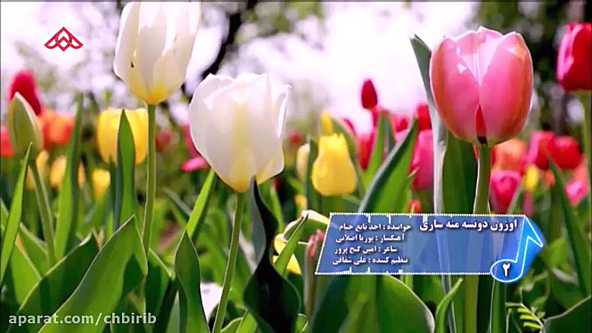 موزیک ویدئو ترکی شاد  احد تابع...