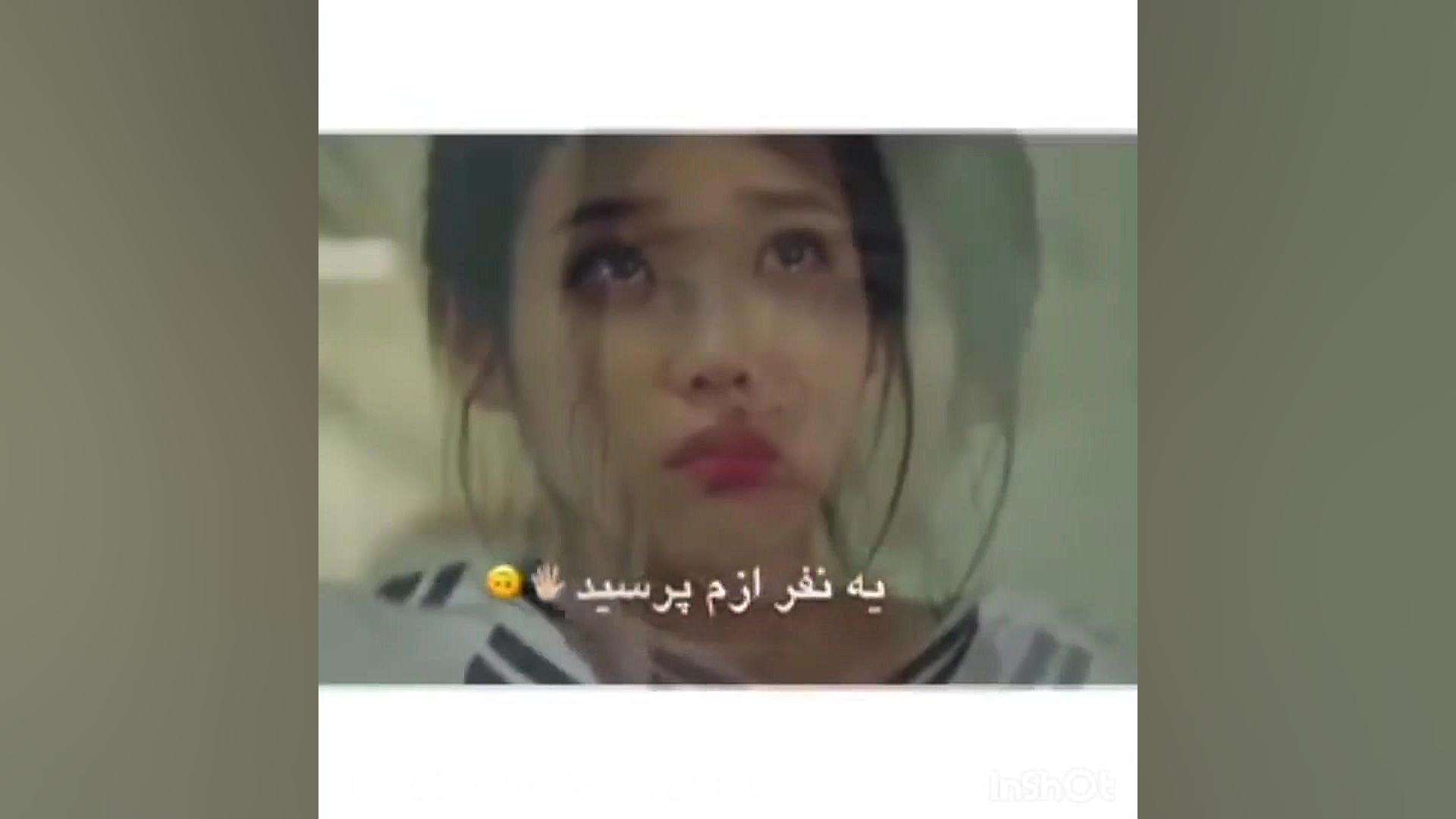 دوستی برای همیشه