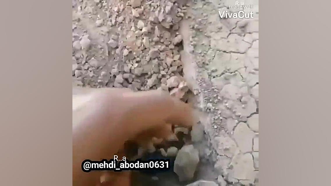 من رو دنبال کنید عزیزان