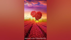 سید عرشی سیدعرشی  نازترین خلق...