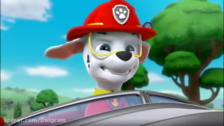 کارتون سگهای نگهبان  انیمیشن ه...