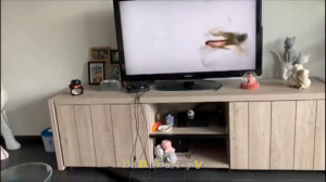 اونی که داره درک میکنه!!