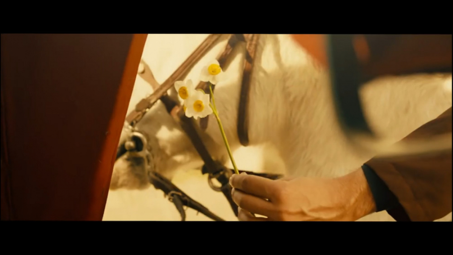 همایون شجریان دیار عاشقی هایم