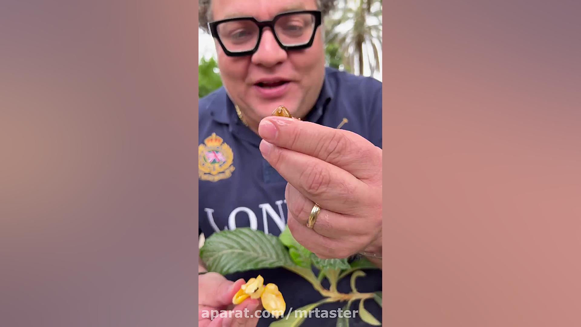 بستک و مردمان مهمان نوازش