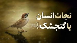 نجات انسان یا گنجشک !