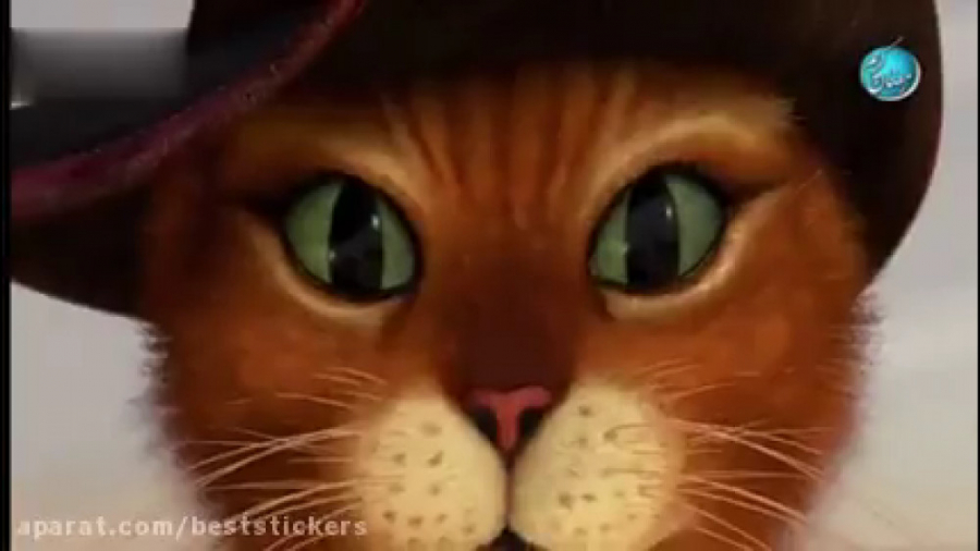 انیمیشن گربه ی چکمه پوش