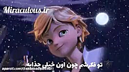 لیدی باگ  دخترک کفشدوزکی گربه...