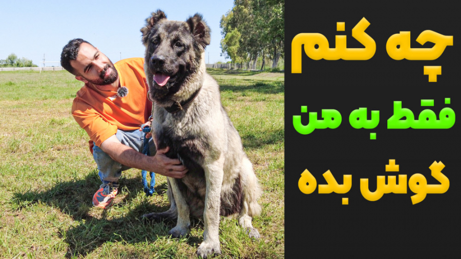 چیکار کنم سگم فقط به حرف من گو...