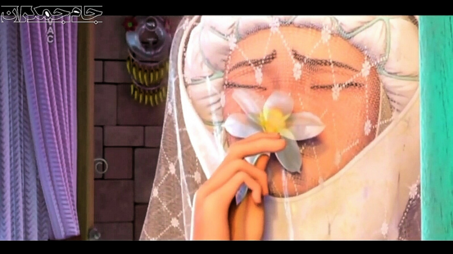 کلیپ زندگی مادر امام زمان عج