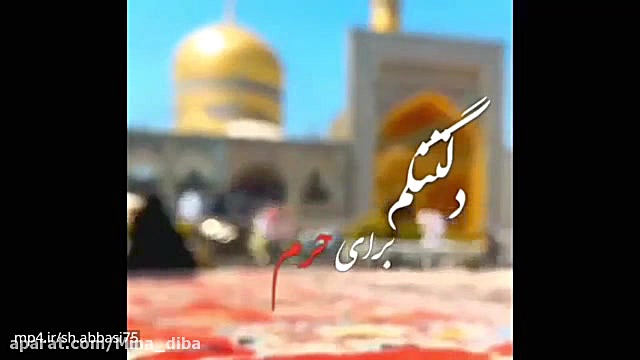 دلتنگ حرم️