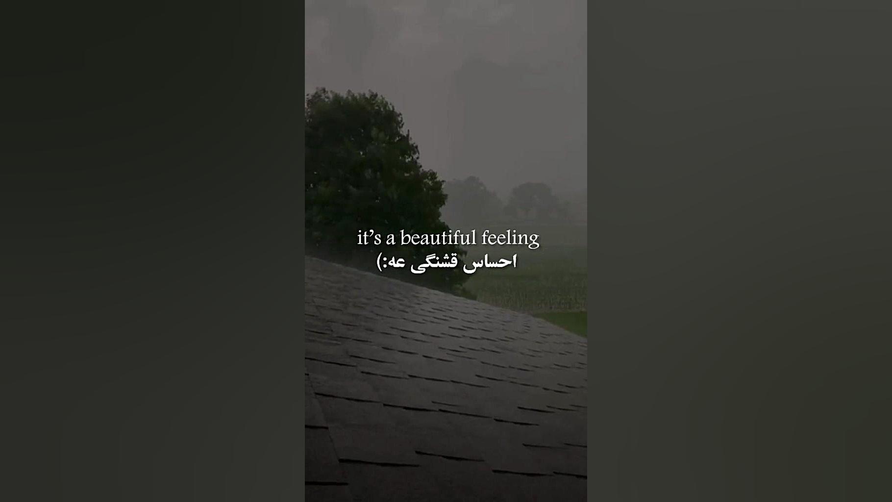 ی چیزی در مورد بارون...=))