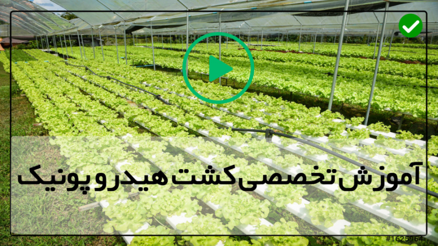دانلود فیلم آموزش هیدروپونیک ک...
