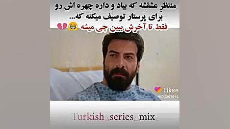 ستاره شمالی