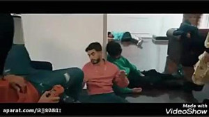 نیکا