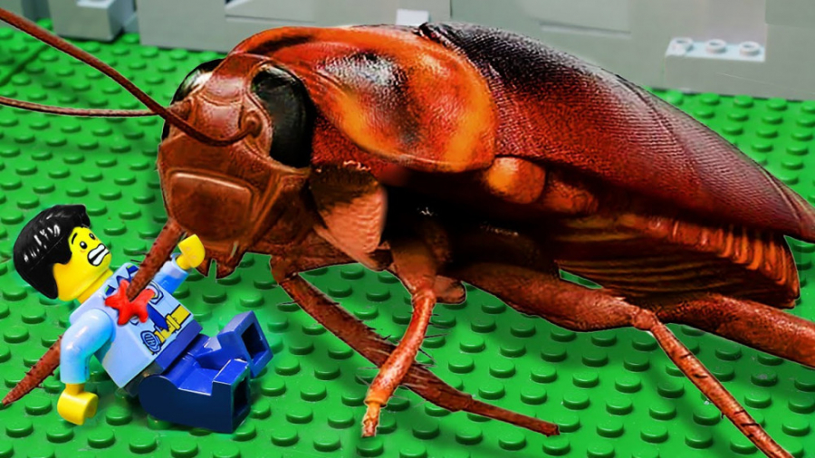 انیمیشن لگو | پلیس لگو | دانلو...