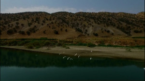 عروس زیبای زاگرس  شهر ایلام