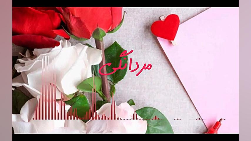 دکلمه زیبا و حمایتی از خانم ها...