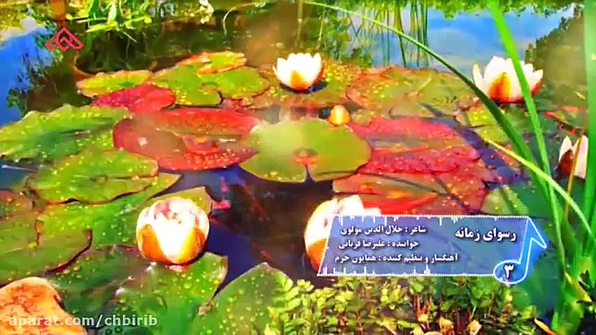 موزیک ویدئو رسوای زمانه