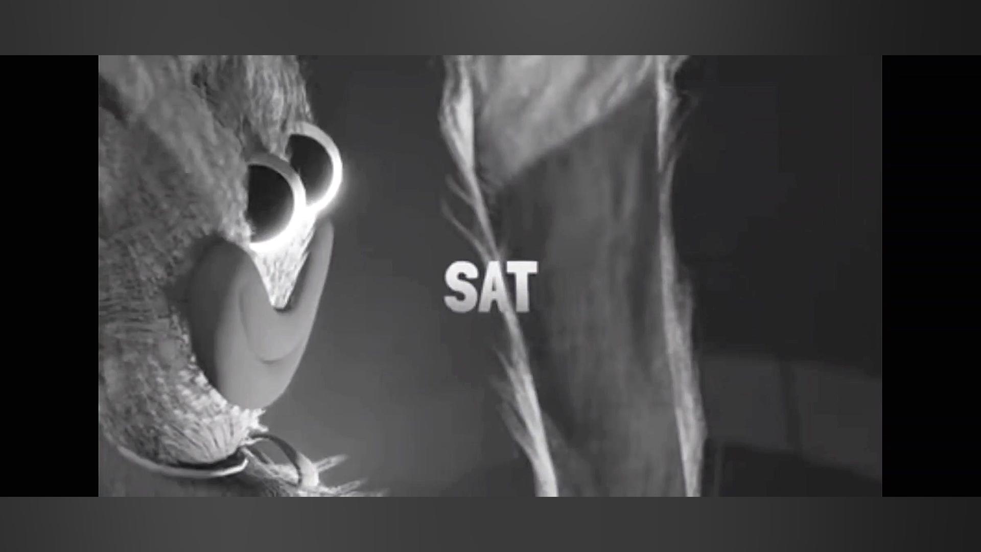 آهنگ هاگی واگی