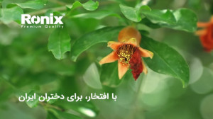 با افتخار برای دختران ایران