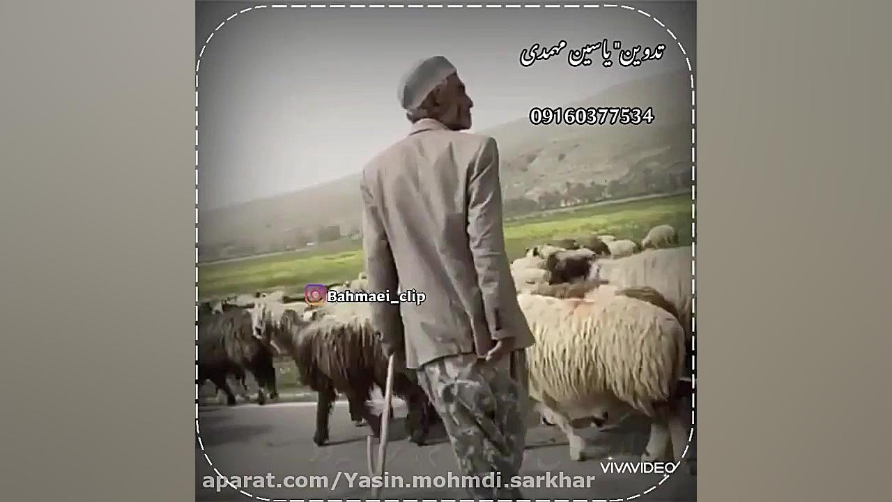 یایار بارو نجاتی