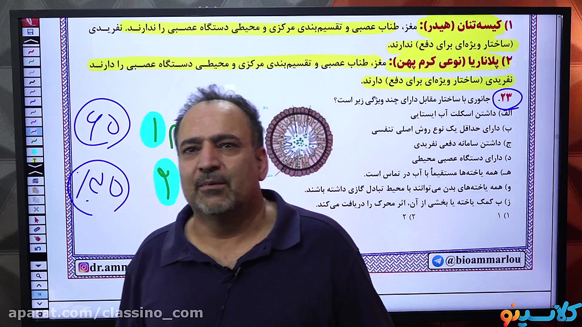 کلاس آنلاین زیست کنکور 1401 مب...