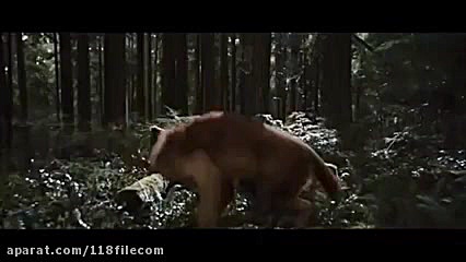 فیلم گرگ ومیش