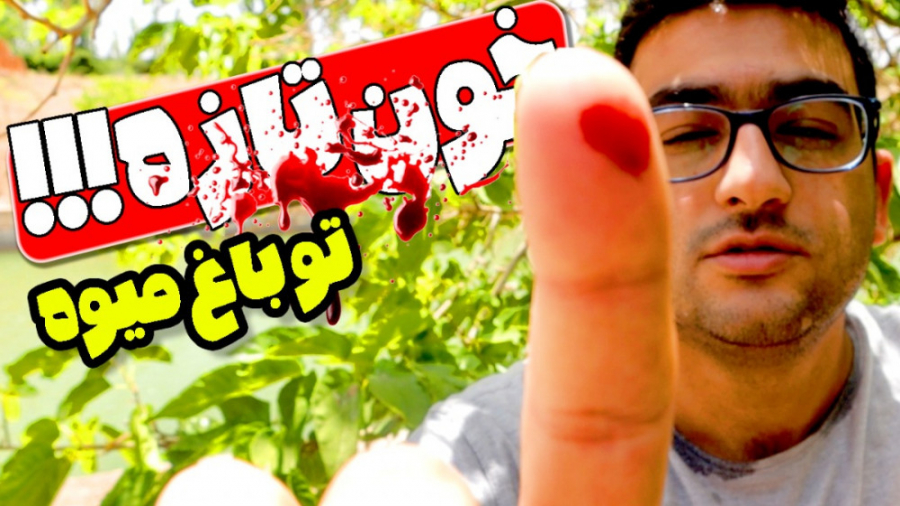 ماچارتا | رفتیم باغ میوه که با...