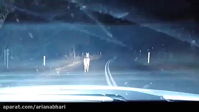 سرعت مرسدس بنز در مقابل کانگور...