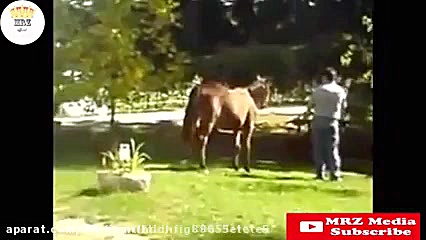 فیلم خنده دار گوز زدن حیوانات