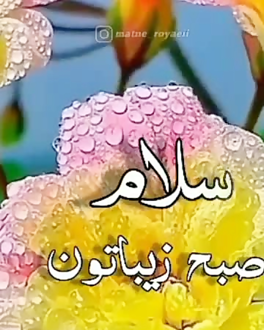کـلـیـپـ زیبا سلام صبح بخیر — free download
