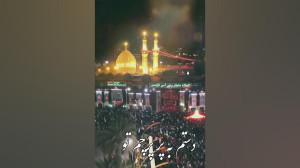 دلتنگ کربلا . دلتنگ حرم