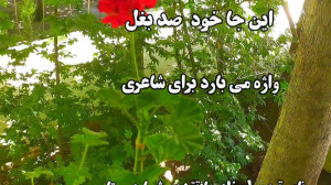 صبح ،صبح بخیر انگیزشی ،حال خوب...