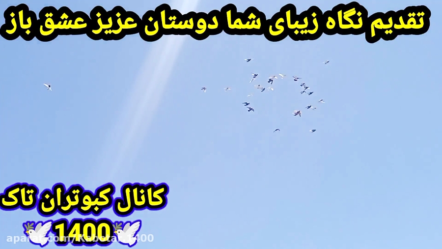 نمایشی از پروندن جوجه ها همراه...