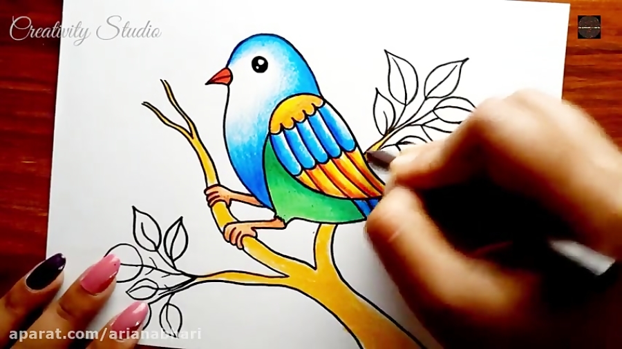 آموزش نقاشی و رنگ آمیزی پرنده