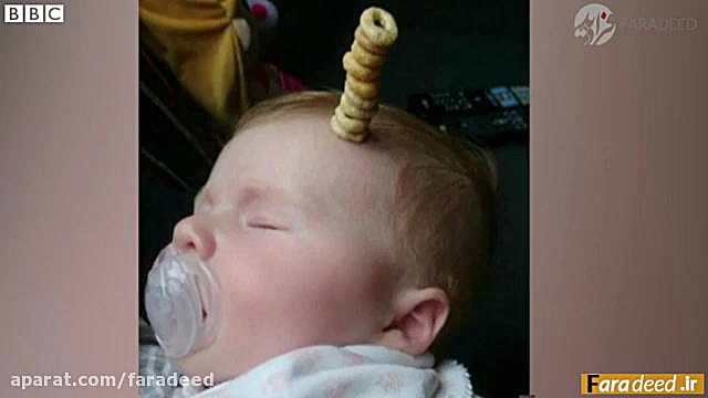 عجیب ترین چالش جهان