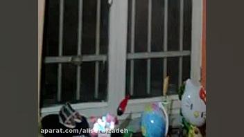 راهنمای بازسازی و تعویض پنجره...