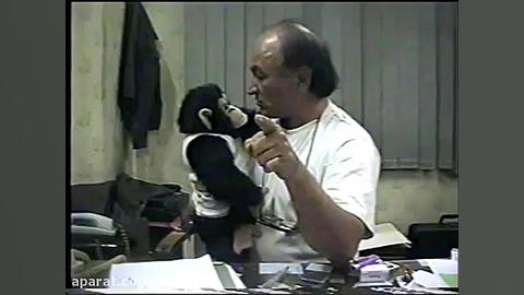 پریستو و جودی